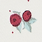 CRANBERRY