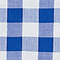 Summer Blue Check