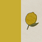 Yellow Lemon Bandana